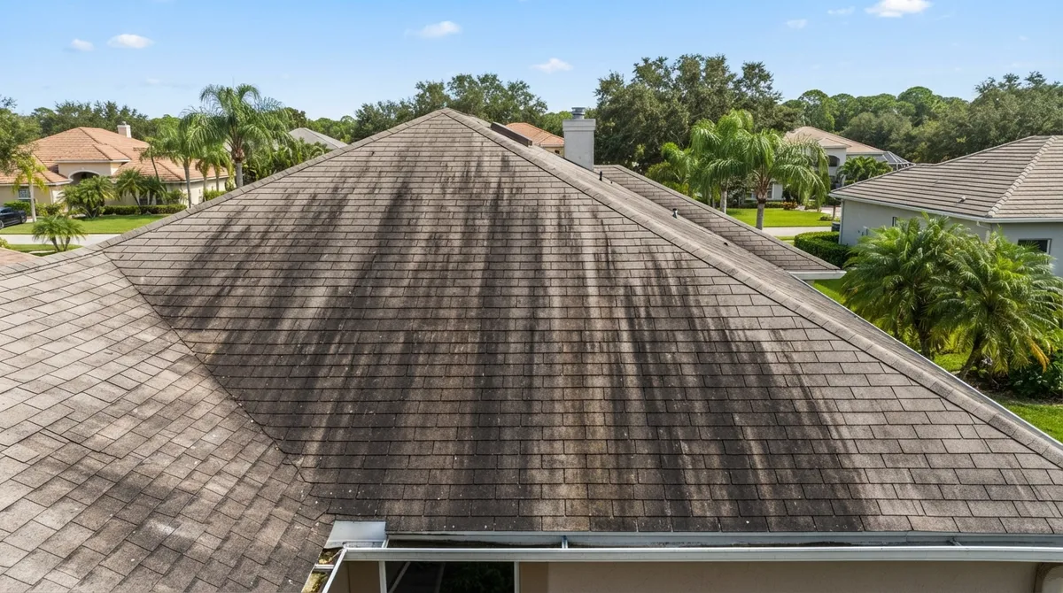 pressure washing near me Valrico FL